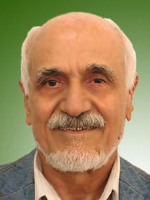 سیدمحمدحسین موسوی